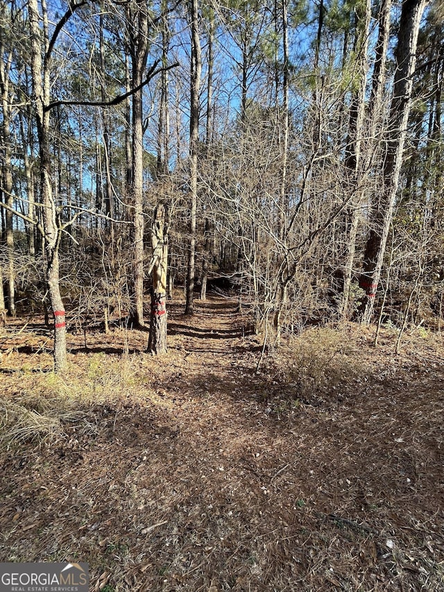 view of local wilderness