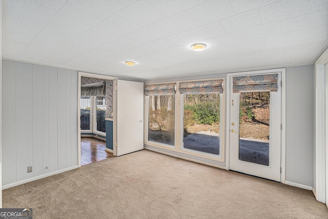 carpeted spare room featuring a wealth of natural light