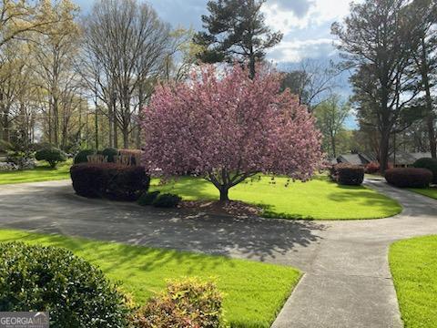 view of home's community featuring a yard