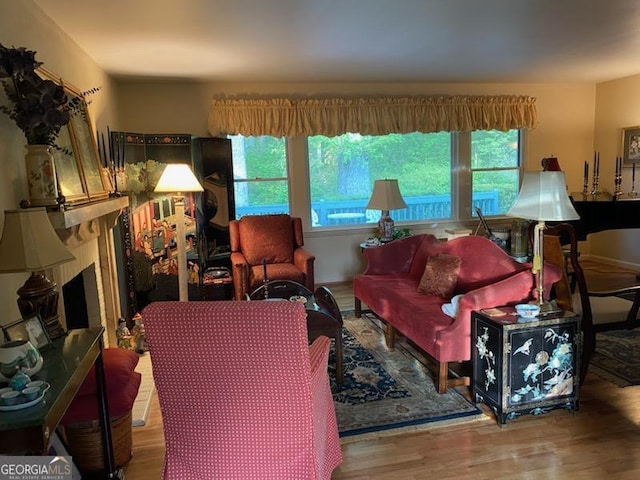 living room with hardwood / wood-style floors