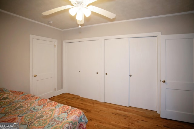 bedroom with hardwood / wood-style floors, ornamental molding, multiple closets, and ceiling fan