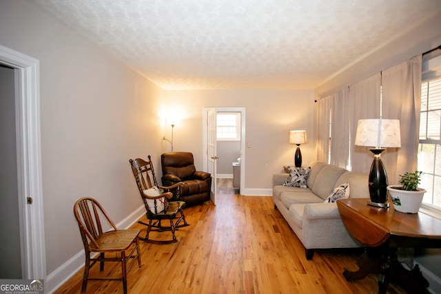 living room with light hardwood / wood-style floors and a textured ceiling