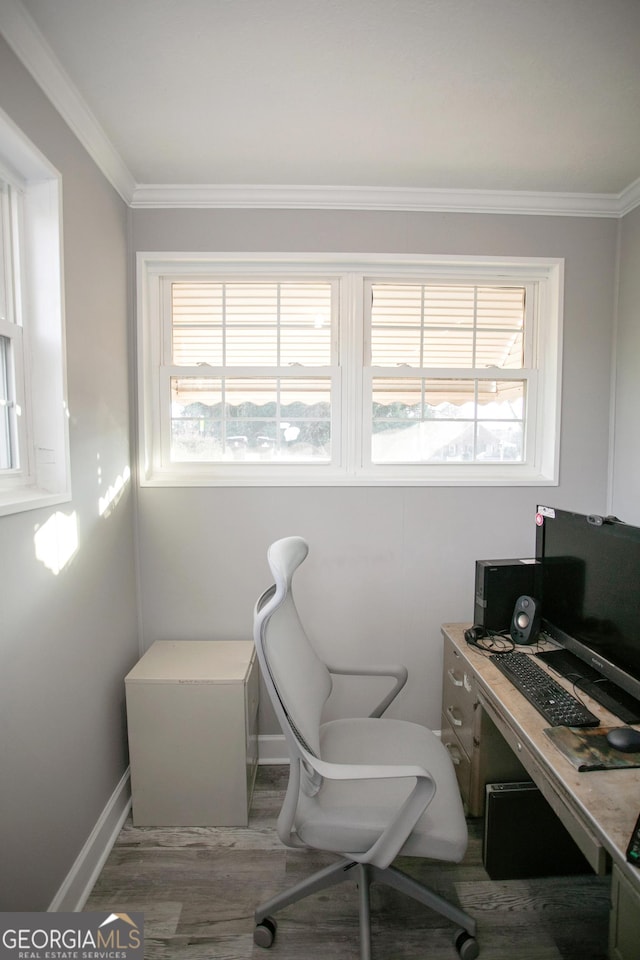 office with crown molding and wood-type flooring