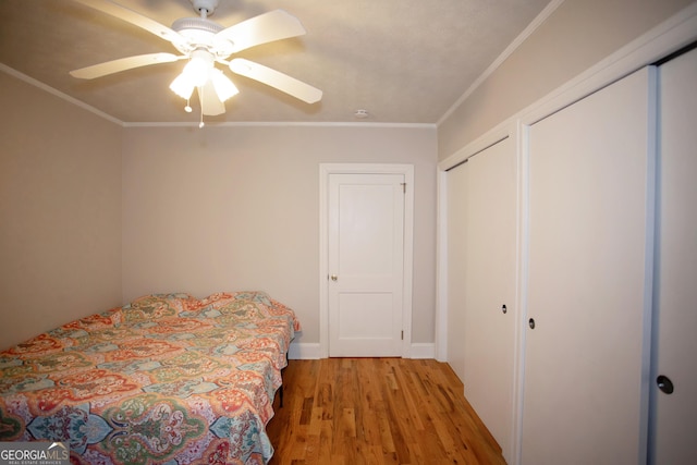 bedroom with ceiling fan, two closets, ornamental molding, and light wood-type flooring