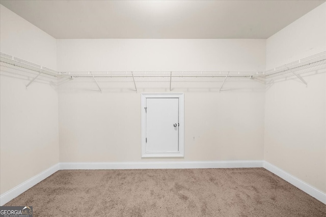 walk in closet featuring carpet