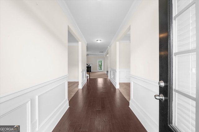 hallway with ornamental molding and dark wood-type flooring