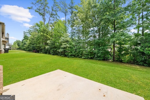 view of yard with a patio