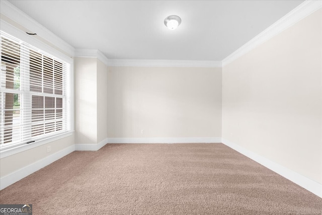 spare room featuring ornamental molding and carpet flooring