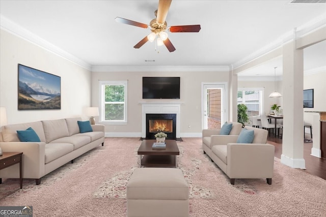 living room with crown molding and ceiling fan