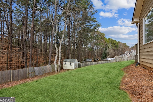 view of yard with a storage unit