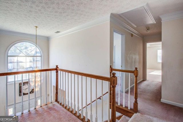 hallway with ornamental molding, a textured ceiling, and carpet