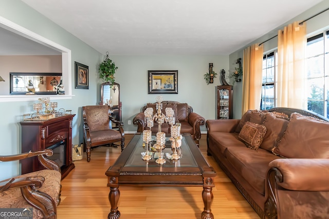 living room with light wood-type flooring