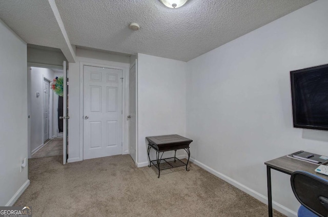 interior space with light carpet and a textured ceiling