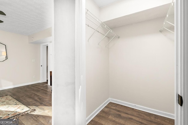 spacious closet featuring dark hardwood / wood-style flooring