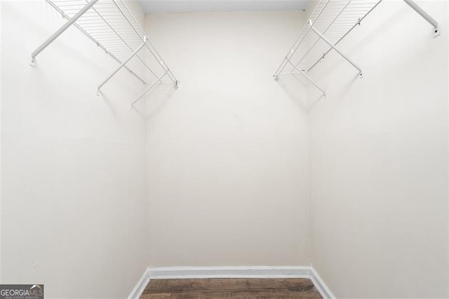 walk in closet featuring dark wood-type flooring