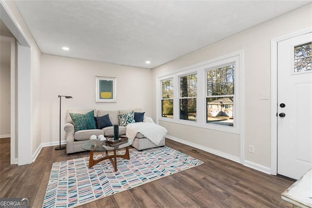 sitting room featuring dark hardwood / wood-style floors