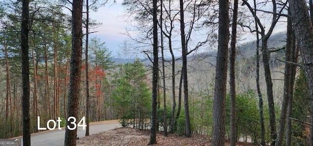 34 Wilderness Creek Way, Murphy NC, 28906 land for sale