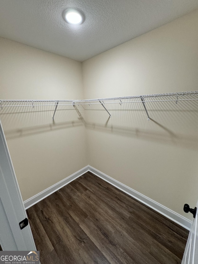 walk in closet featuring dark hardwood / wood-style floors