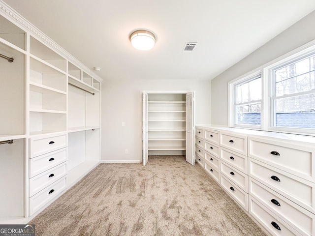 walk in closet with light colored carpet