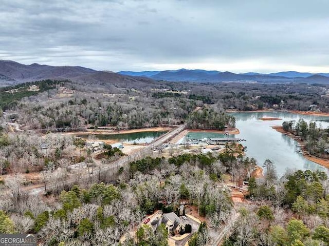 drone / aerial view featuring a water and mountain view