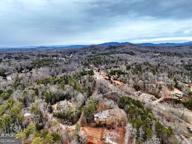 birds eye view of property featuring a mountain view