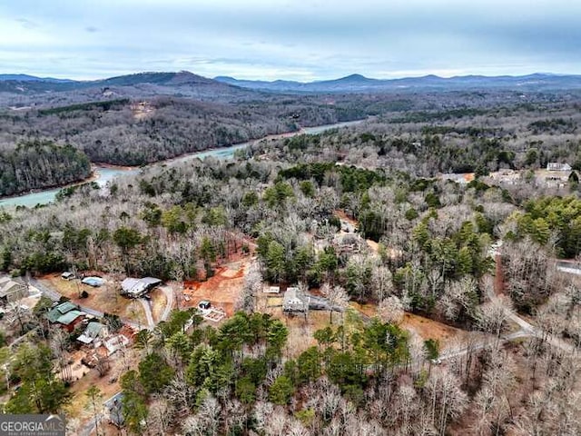 bird's eye view featuring a mountain view