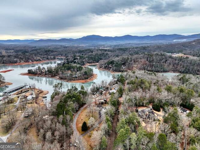 drone / aerial view with a water and mountain view