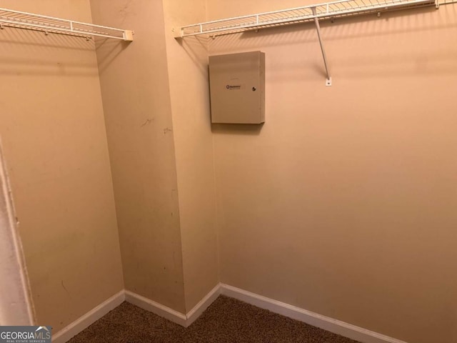 spacious closet featuring carpet floors