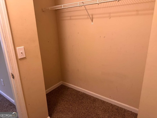 walk in closet with carpet flooring