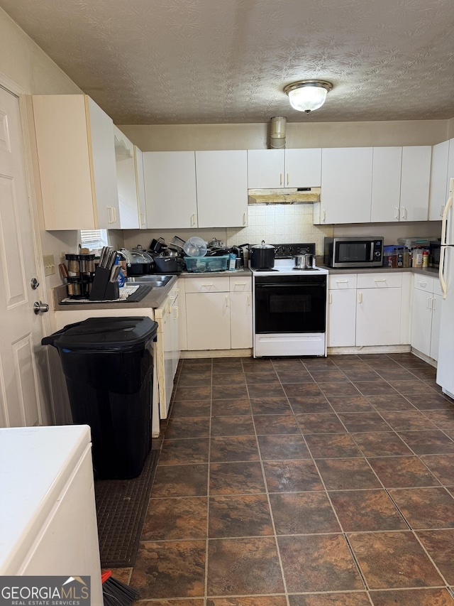 241 E Ash St, Social Circle, GA 30025 - kitchen with stainless steel microwave, white cabinets, freestanding refrigerator, under cabinet range hood, and electric range