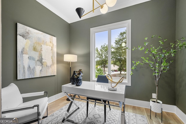 office space featuring ornamental molding and hardwood / wood-style floors