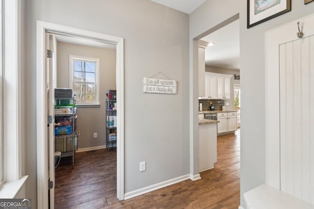 hall featuring dark wood-type flooring and a healthy amount of sunlight