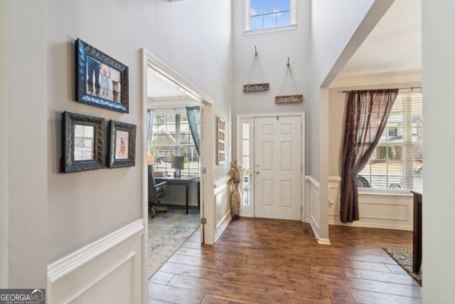 foyer entrance featuring dark hardwood / wood-style floors and a towering ceiling