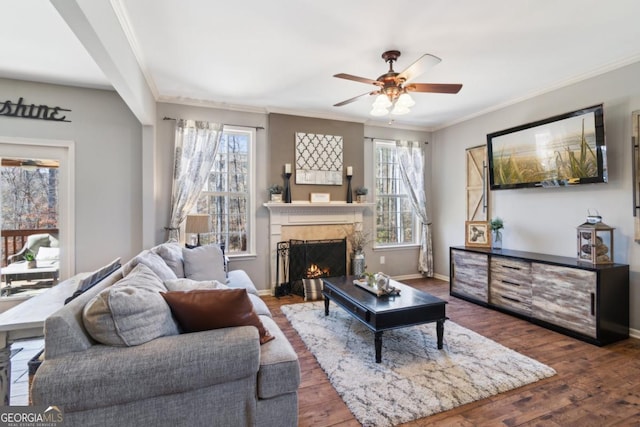 living room featuring dark wood-type flooring, ornamental molding, and ceiling fan