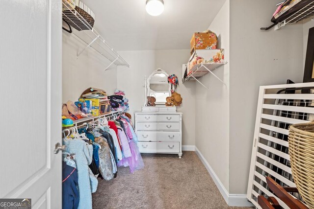 walk in closet featuring carpet flooring