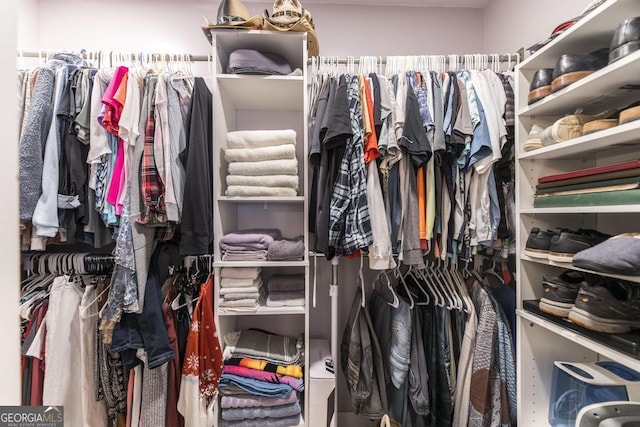 view of spacious closet