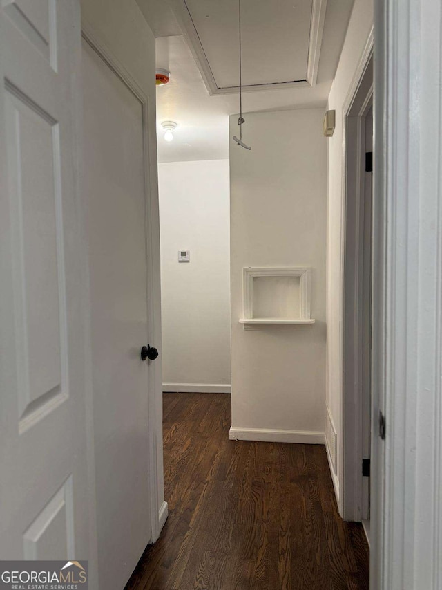 hall featuring dark wood-type flooring