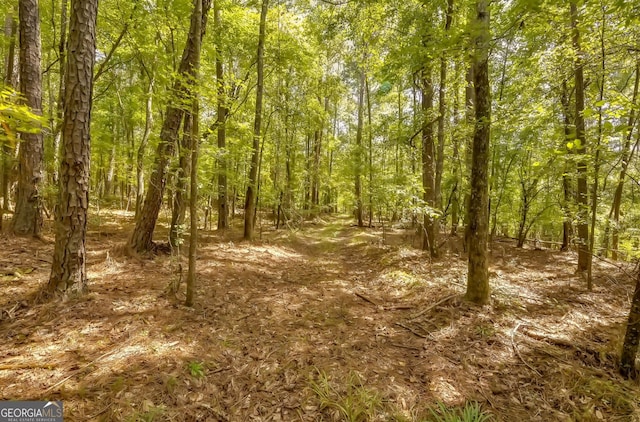 1261 Crumbley Rd, Mcdonough GA, 30252 land for sale