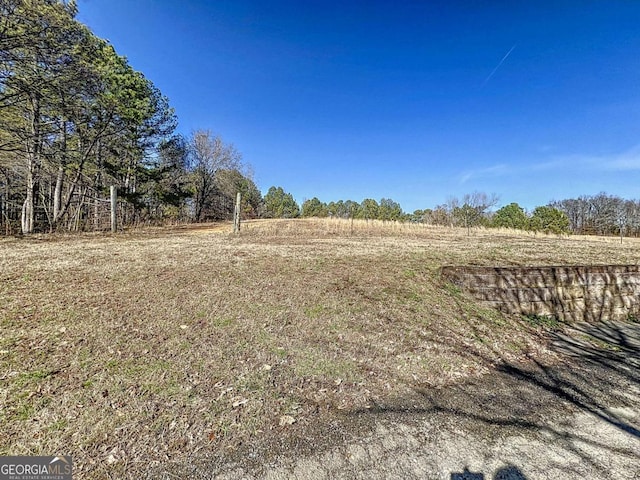 view of yard featuring a rural view