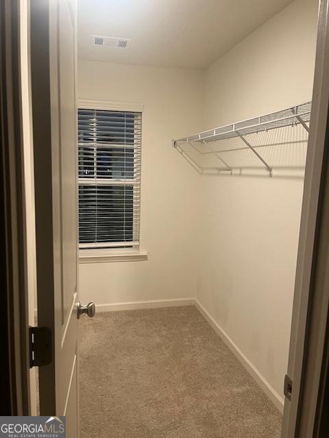 walk in closet with carpet flooring