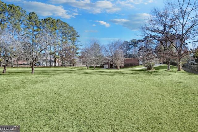 view of yard