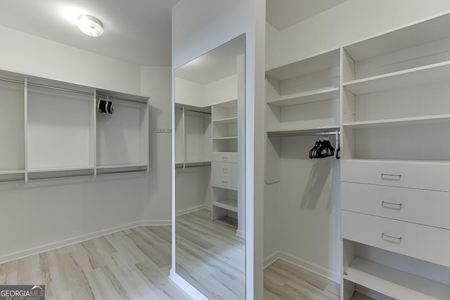 spacious closet featuring light wood-type flooring