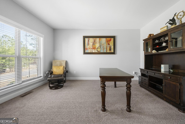 view of carpeted office