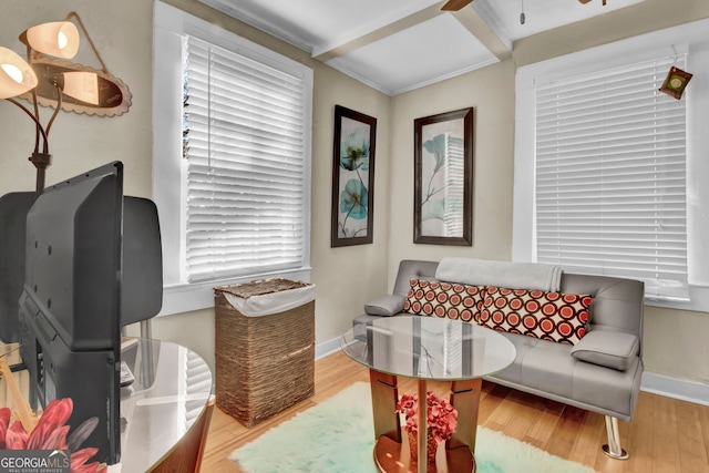 living area featuring light hardwood / wood-style flooring