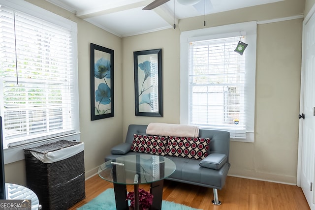 sitting room with plenty of natural light and hardwood / wood-style floors