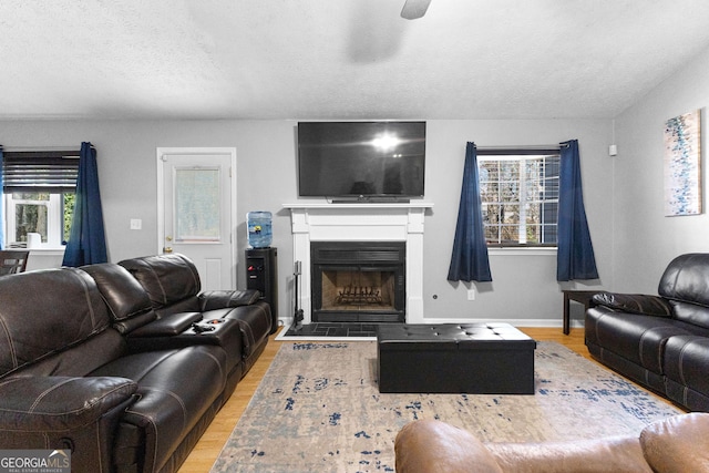 living room featuring ceiling fan, a textured ceiling, and light wood-type flooring