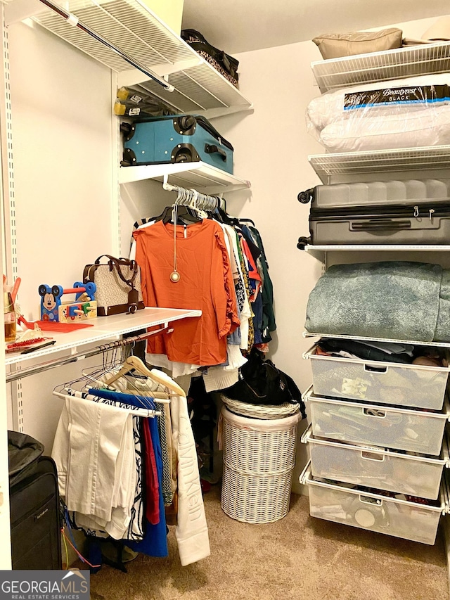 1320 Newbridge Cir, Buford, GA 30519 - spacious closet with carpet