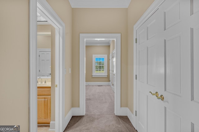 hallway featuring sink, crown molding, and light colored carpet