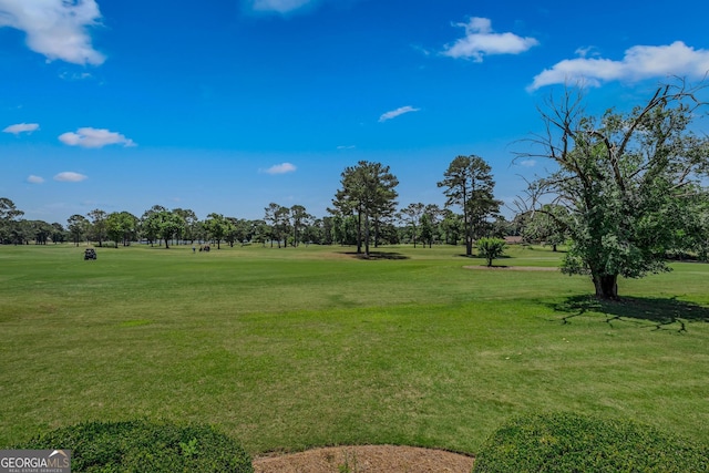 view of community with a lawn