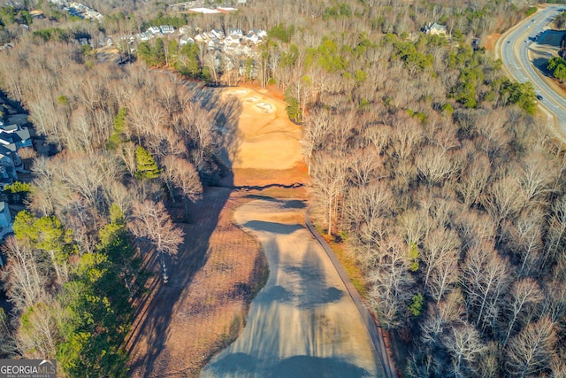 bird's eye view